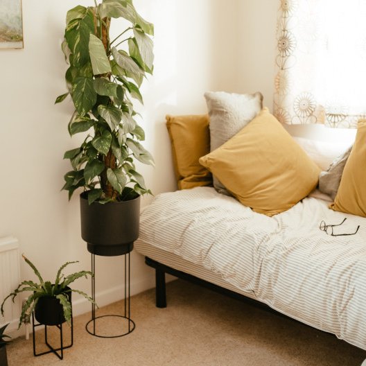 Exploring the Fresh Style of Tropical Design
